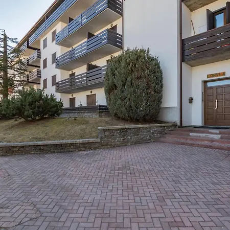 Comfort Centro Vicino Piste Da Sci 阿帕里卡